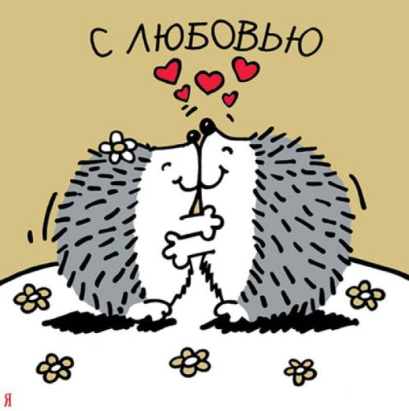 Люблю тебя мой Ежик