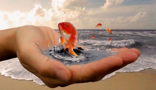 Желания сбываются