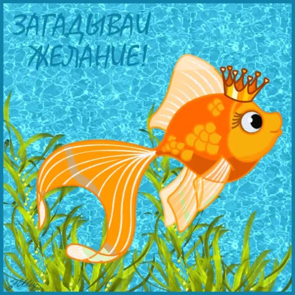 День исполнения желаний