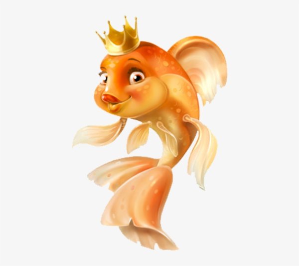 День загадывания желаний