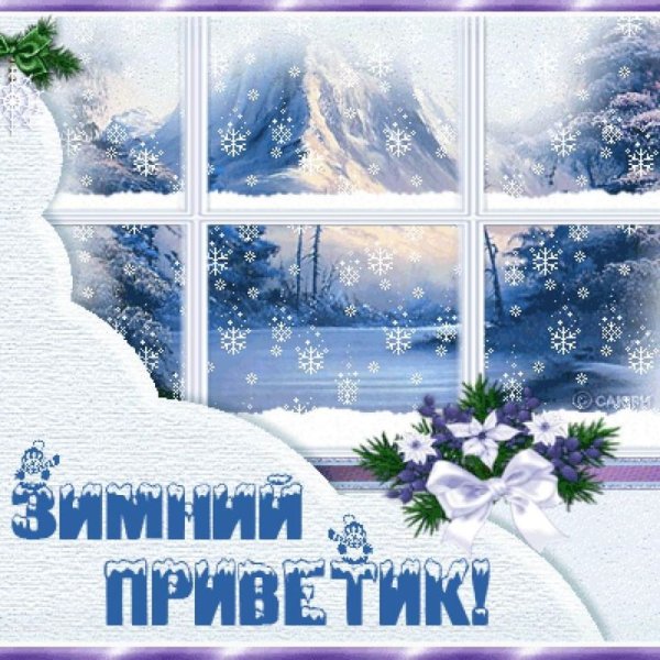 Доброго дня зима птицы