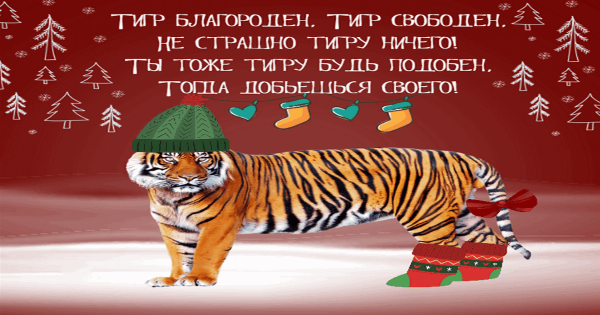 Уходящий год тигра