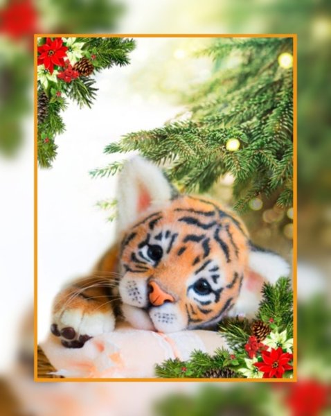 Поздравления на новый год тигра