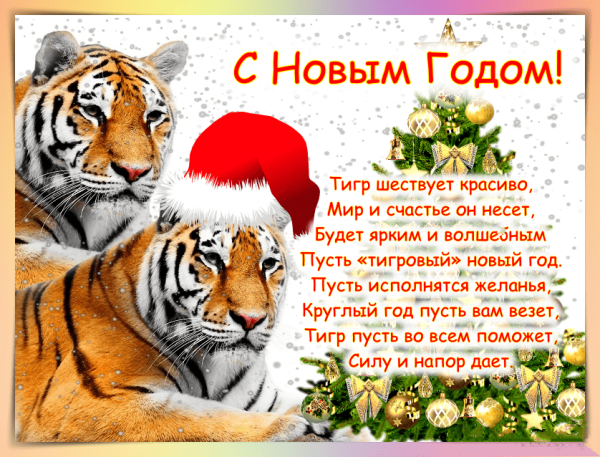 С новым годом тигра 2022