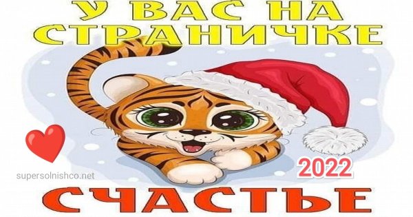 Уходящий год тигра