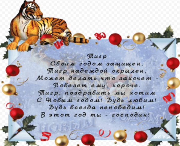 Какой год пожелания. Новогодние поздравления с годом тигра. Новогодние пожелания в год тигра. Стихотворение про тигра на новый год. Стих с новым годом тигра.