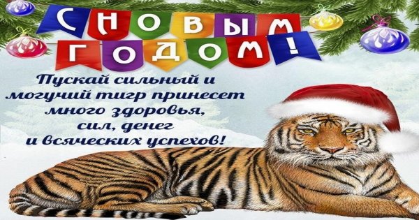 Тигренок новый год