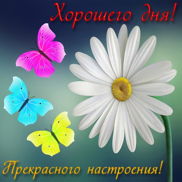 Хорошие пожелания