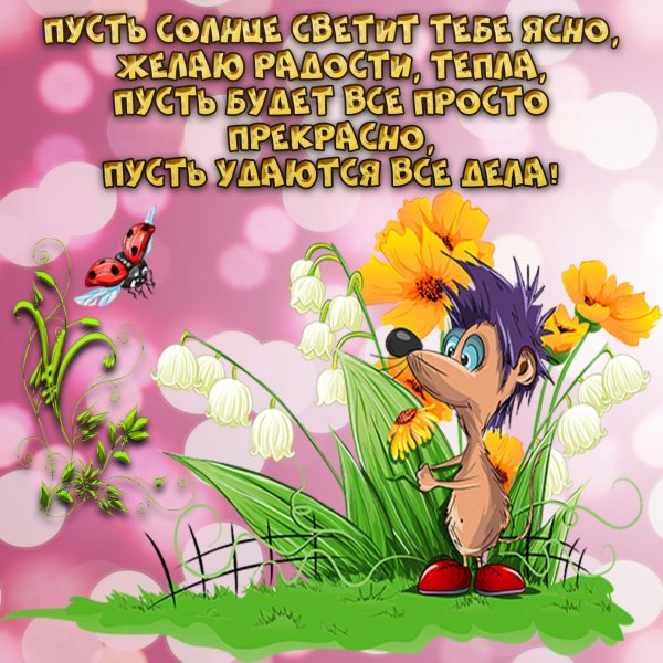 Пожелания удачного дня
