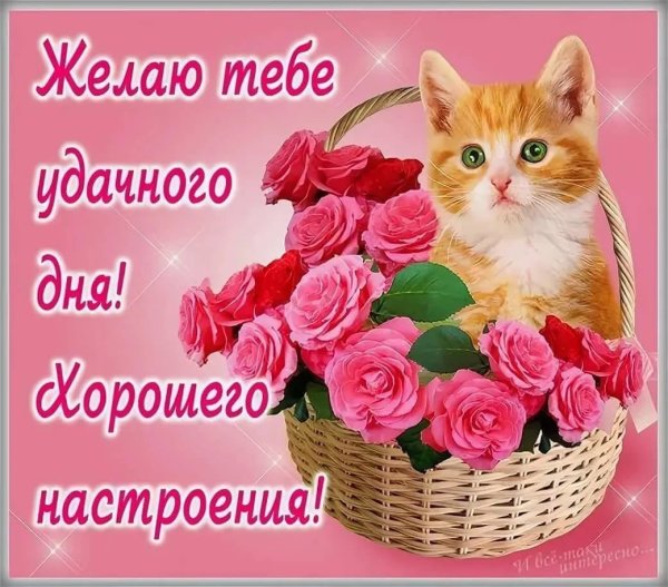 Открытка "хорошего настроения"