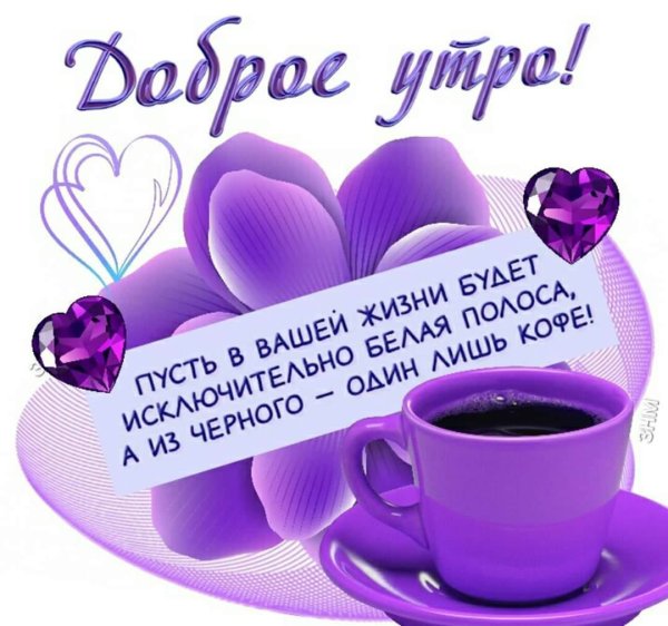 Доброе утро дорогой человек