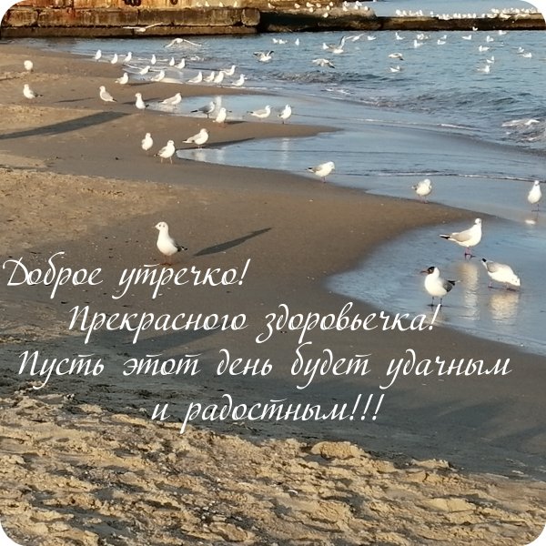 Пожелания с добрым утром со смыслом