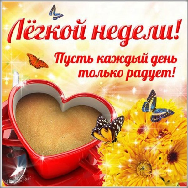 Легкой недели