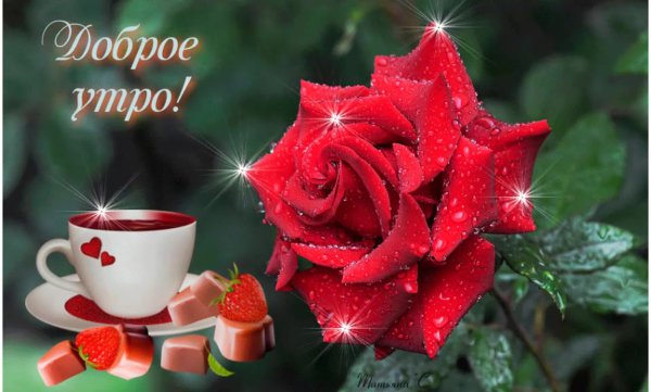 Доброе утро прелесть прекрасная