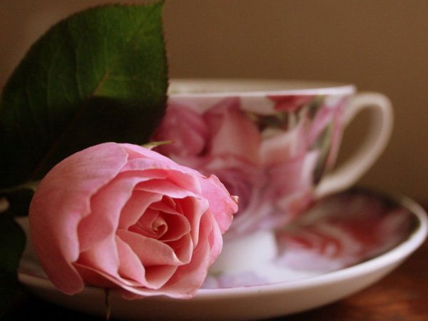 Утренние цветы для любимой