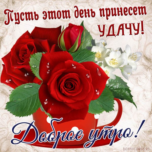 Красные розы с добрым утром