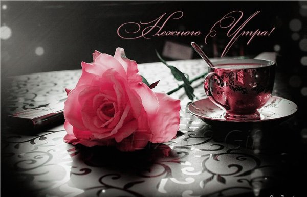 Картинки с добрым утром красивые