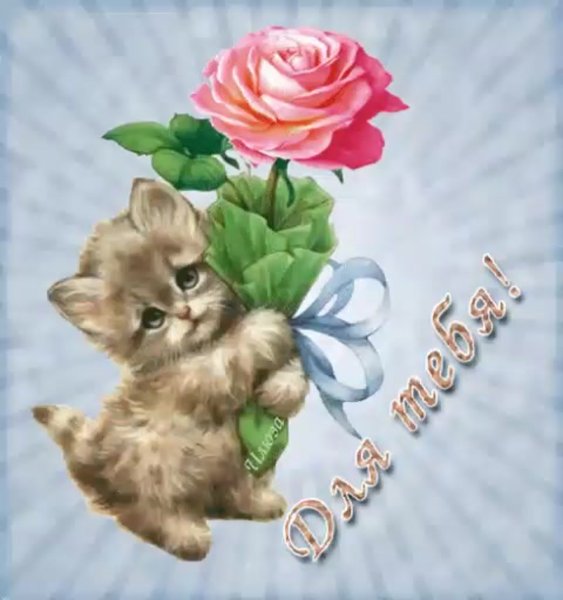 Открытки повседневные красивые