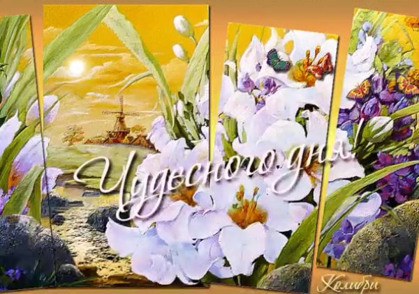 Открытки чудесного дня