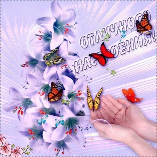 Добрые пожелания с бабочками