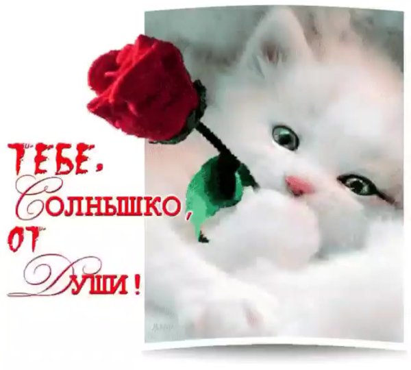 Красивые открытки для любимой девушки