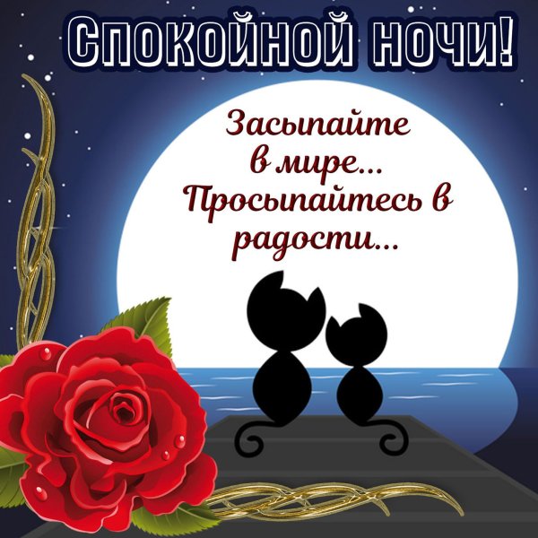 Чудесного вечера и спокойной ночи