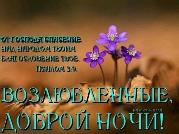 Благодарю Господа за прожитый день