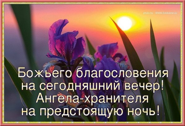 Доброй ночи сладких снов православные