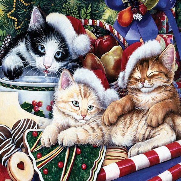 Художник Дженни Ньюленд коты