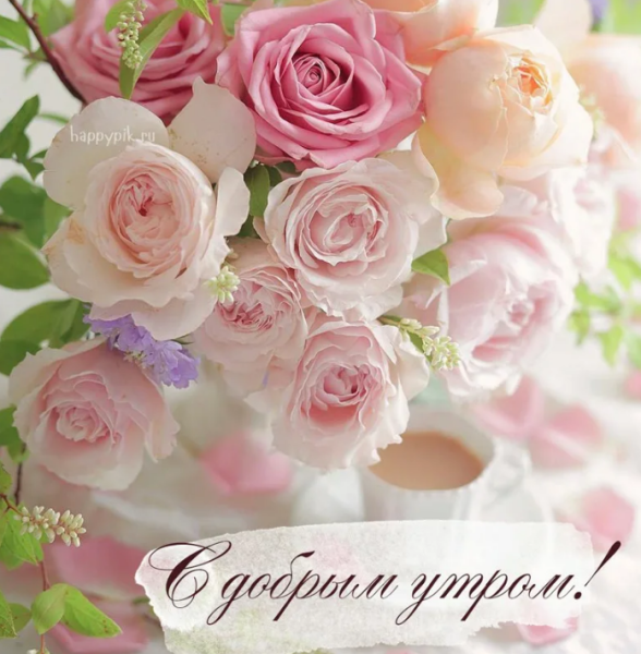 Доброе утро цветы