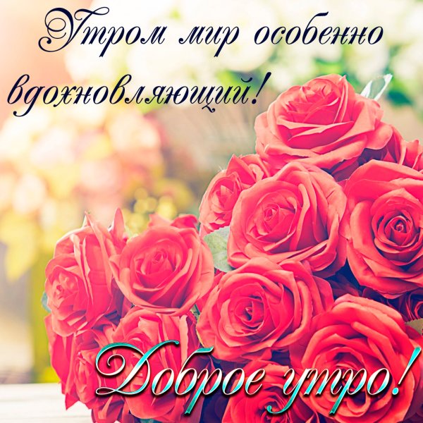 Красивый букет роз с добрым утром