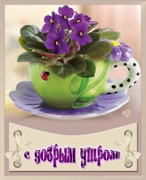 С добрым утром с цветами и пожеланиями