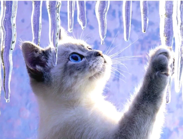 Доброе зимнее утро