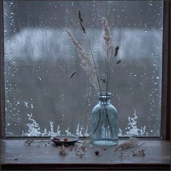 Снег с дождем