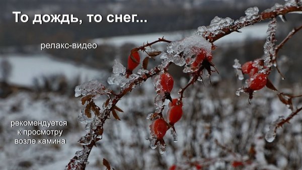 С добрым дождливо снежным утром