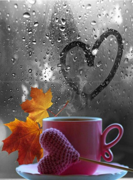 Доброе дождливое утро