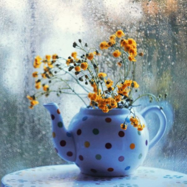 Доброе Весеннее зимнее утро