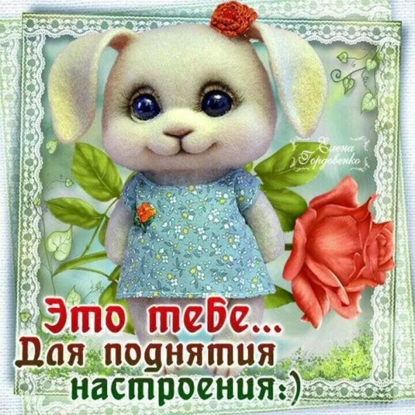 Смешные открытки для поднятия настроения