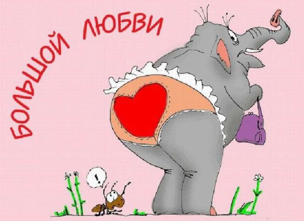 Приколы на рыбалке