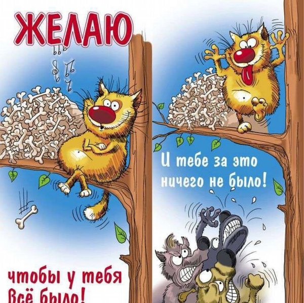 Открытки с юмором прикольные