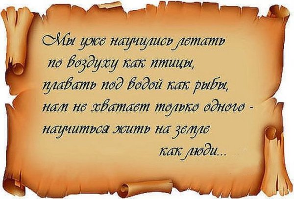 Умные фразы