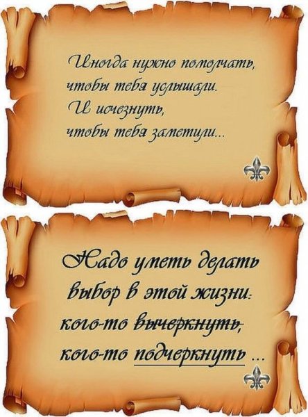 Красивые цитаты