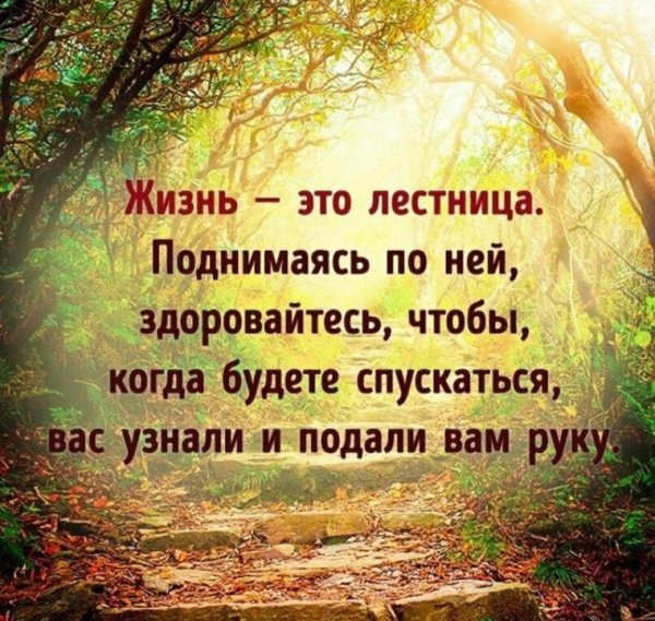 Умные цитаты