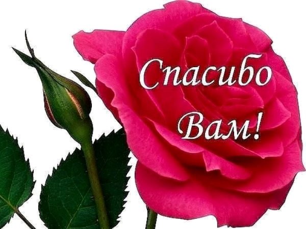 Спасибо вам