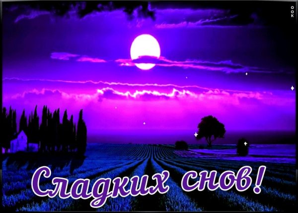 Сладких снов