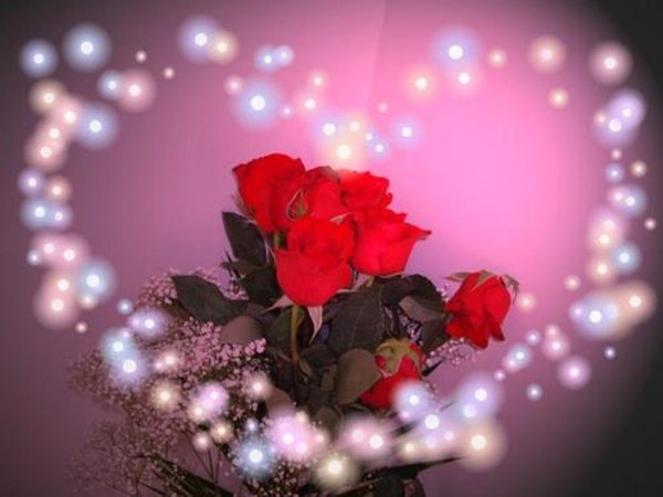 Цветы для любимых и родных