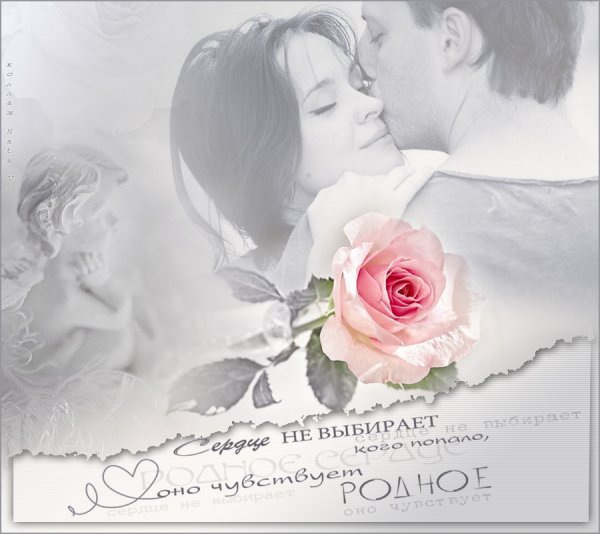 Нежные открытки любимому