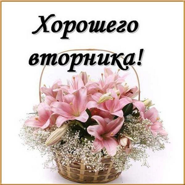 Хорошего вторника