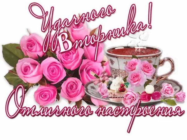 Пожелания с добрым утром вторника