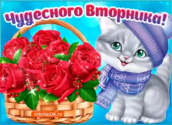 Пожелания приятного вторника и отличного настроения